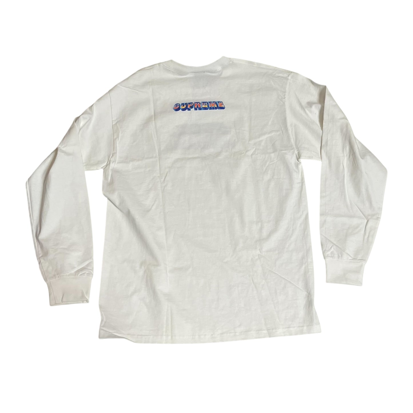 SAMPLE Supreme F The World Long Sleeve T-Shirt - White (Large)
