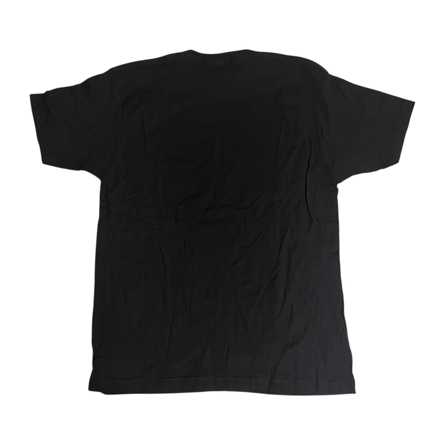 Modern Baseball Dinosaur T Shirt (Large)