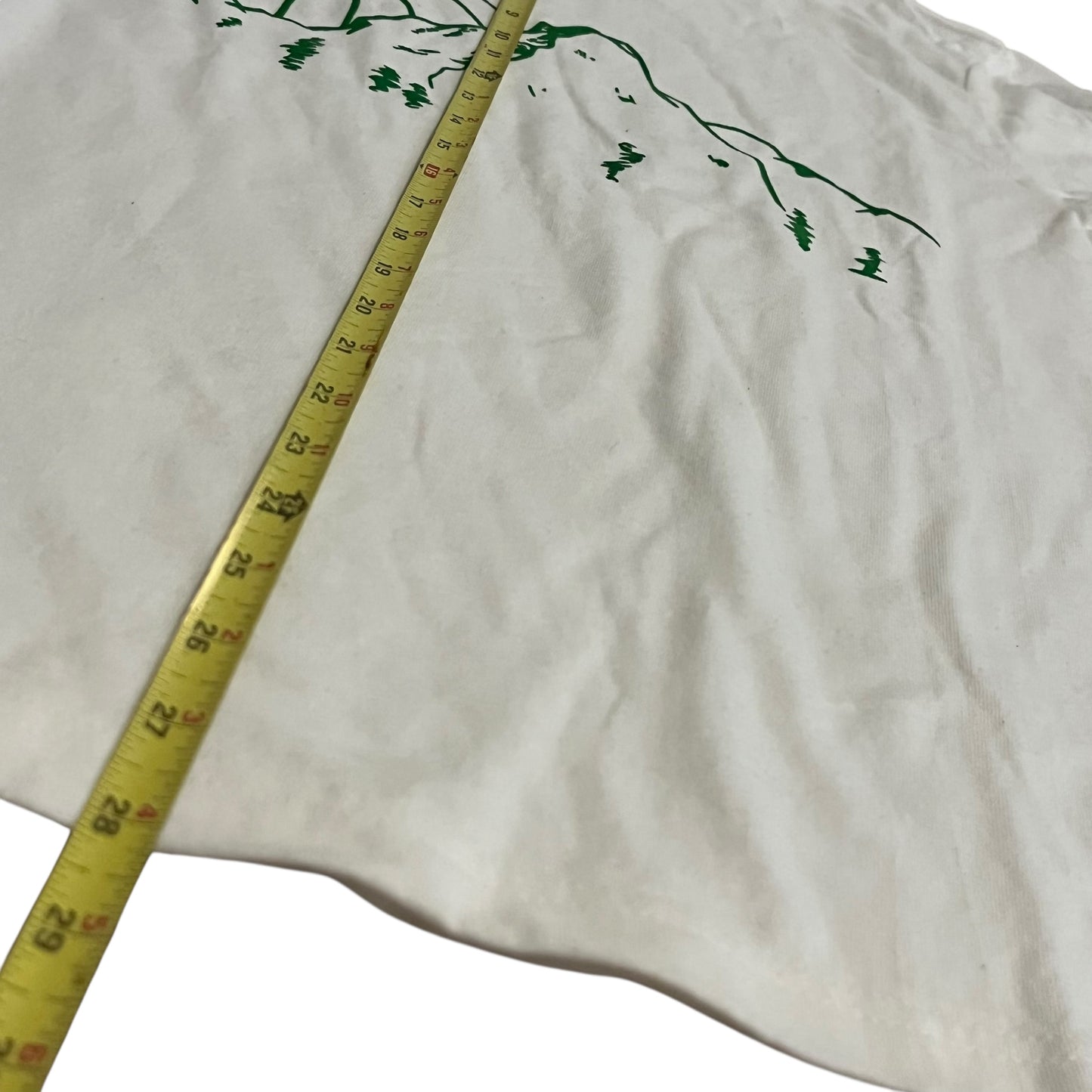 Hidden NY Mountains Long Sleeve T Shirt (Medium)