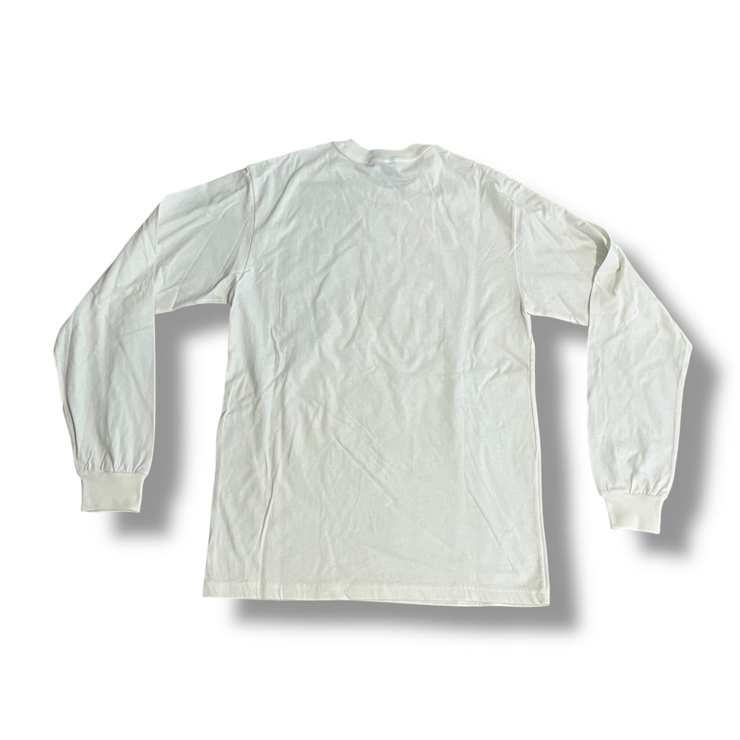 Hidden NY Mountains Long Sleeve T Shirt (Medium)