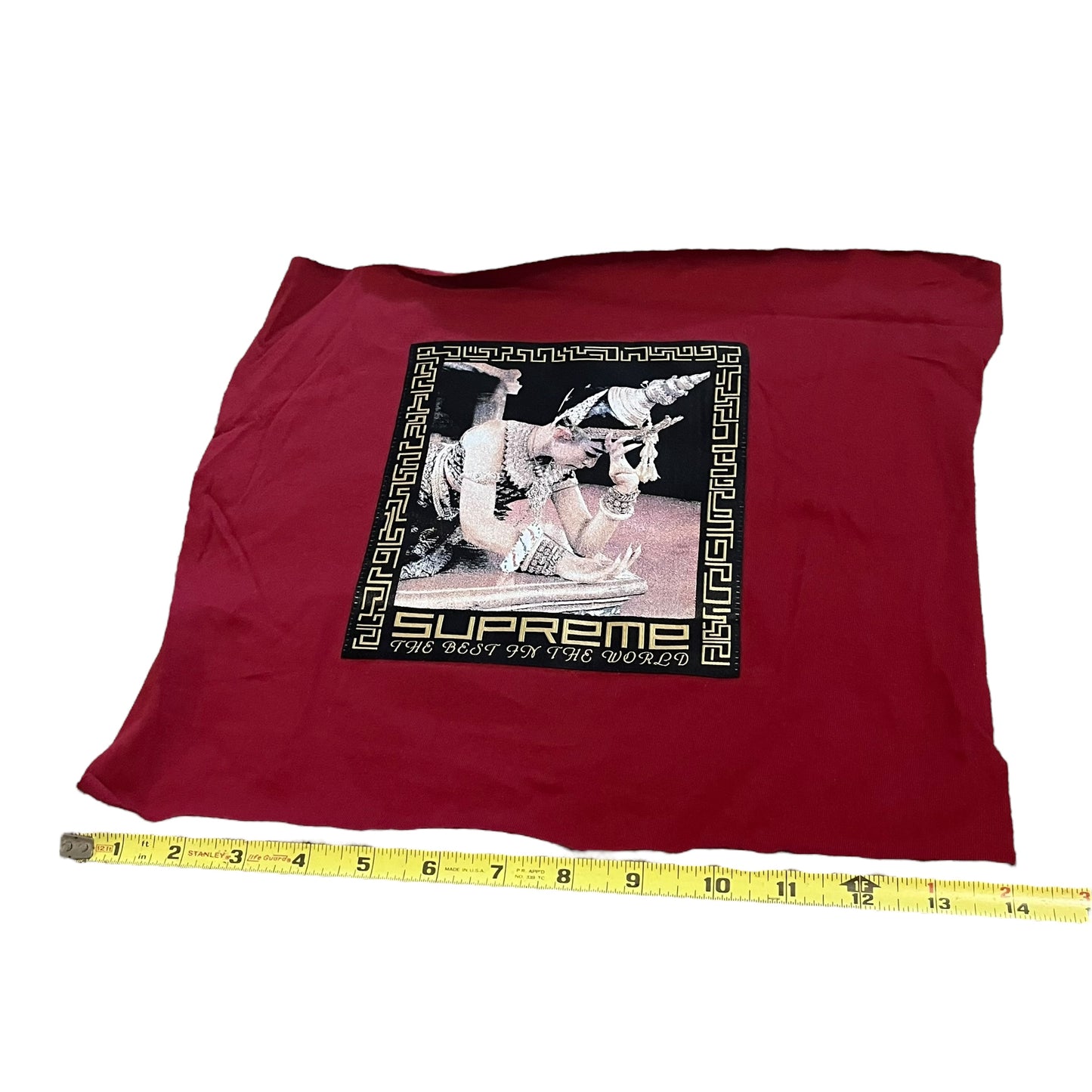 SAMPLE Supreme "Best in the World" Sample Test Print Fabric Swatch - Maroon (FW17)