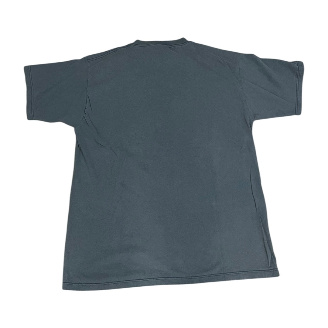 VINTAGE Indigo Girls Shed Your Skin T Shirt (XL)