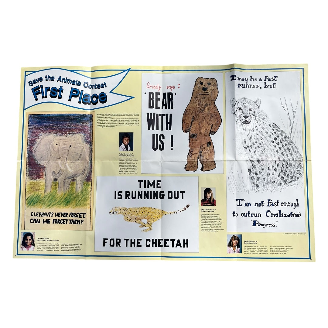 VINTAGE 1980 Star Wars National Geographic Star Destroyer Poster (31x20.5)