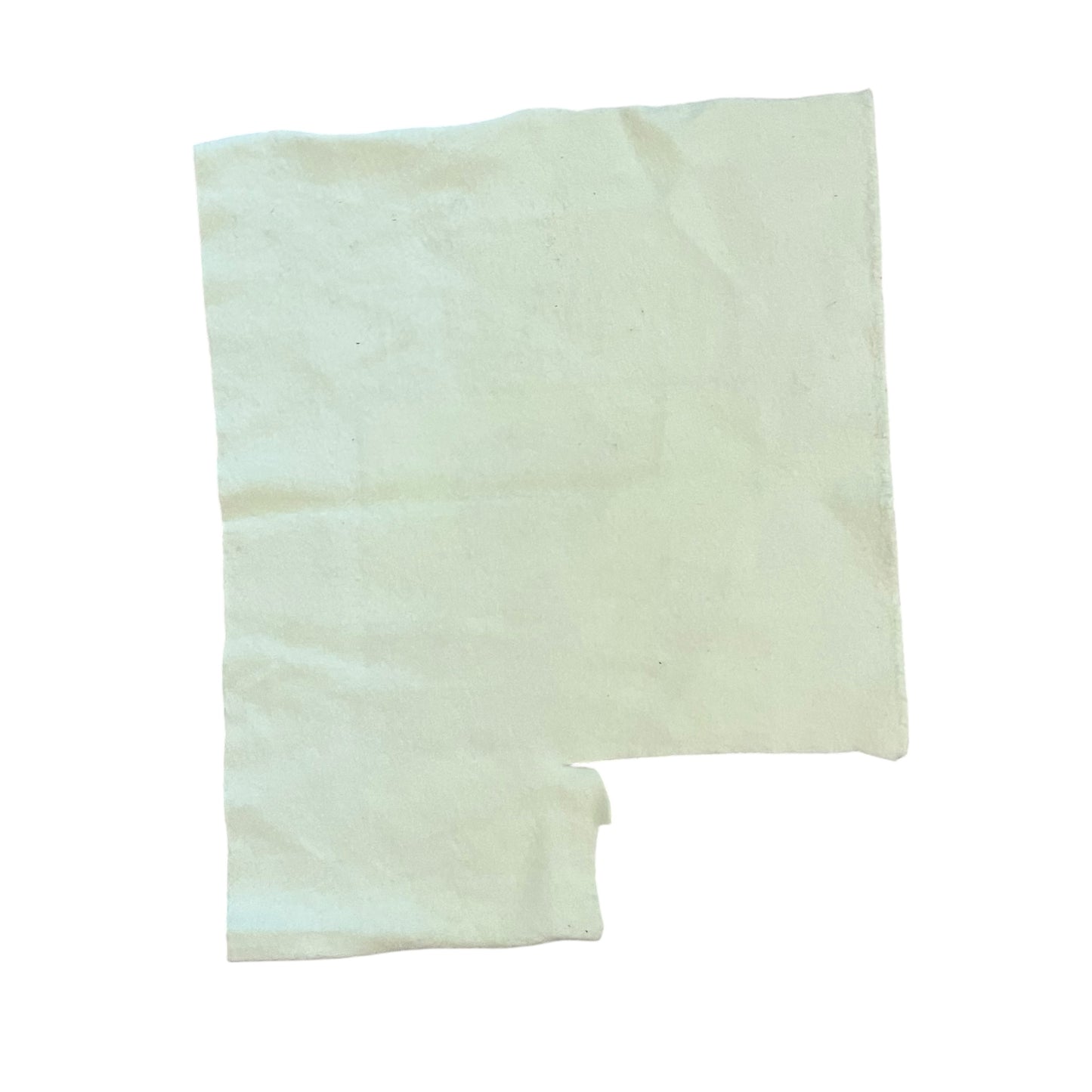 SAMPLE Supreme The Decline of Western Civilization Sample Test Print Fabric Swatch - Mint Green (FW17)