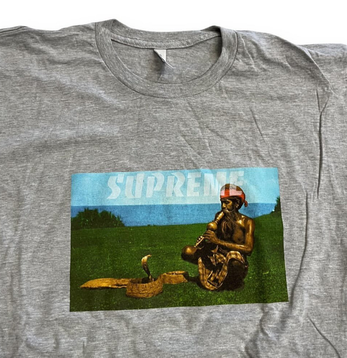 SAMPLE Supreme Snake Charmer T Shirt - Grey (Large)
