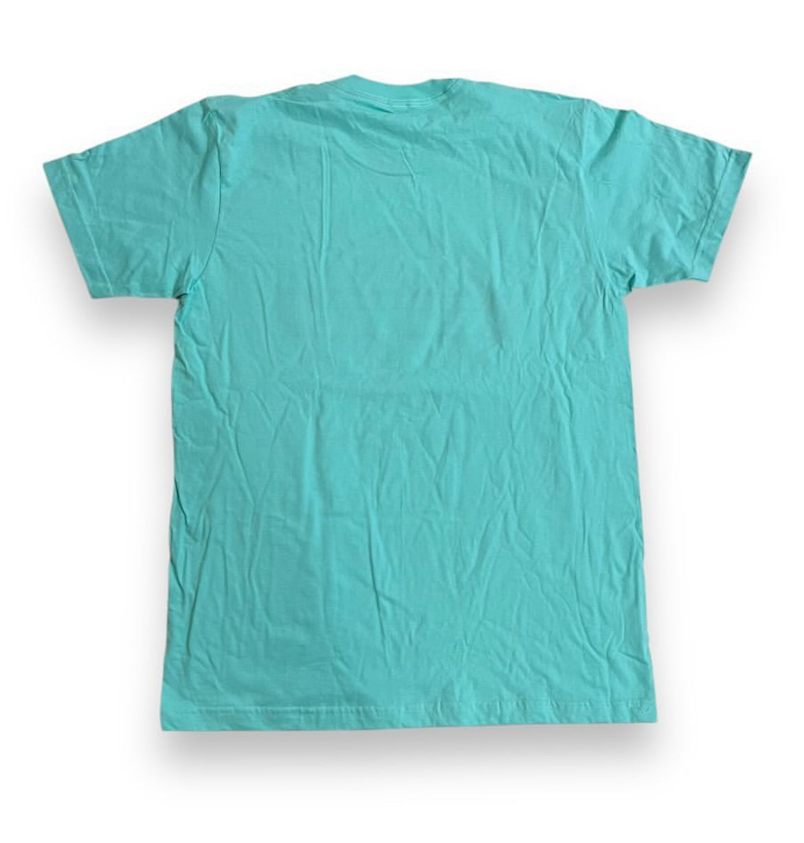 SAMPLE Supreme America's Most Wanted T-Shirt - Light Blue (Large)