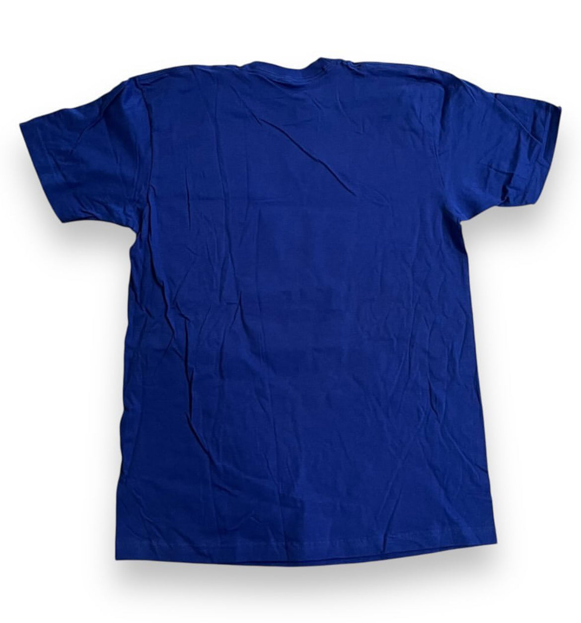 SAMPLE Supreme Catwoman T Shirt - Blue (Large)