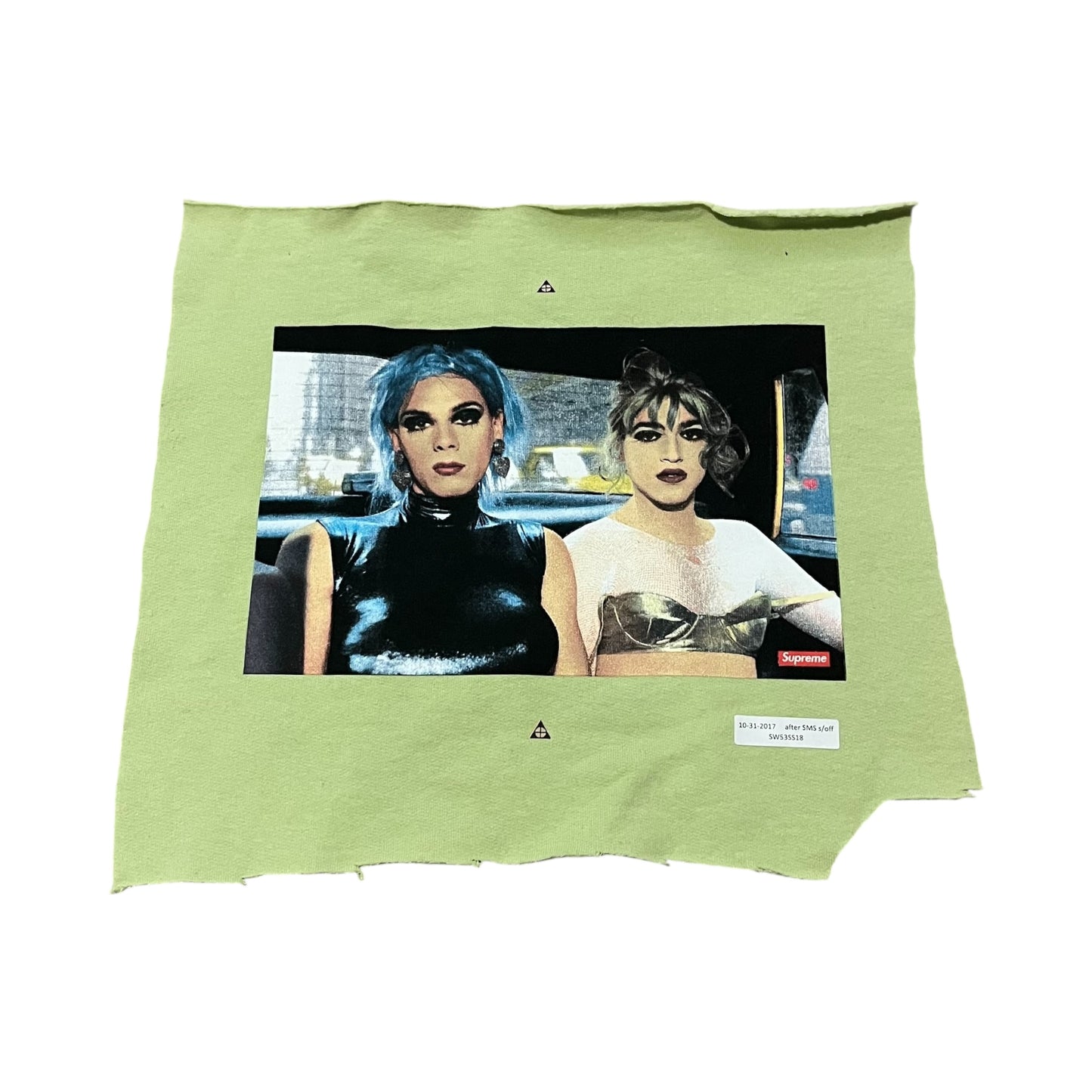 Supreme x Nan Goldin Test Print Fabric Swatch (Pale Green)