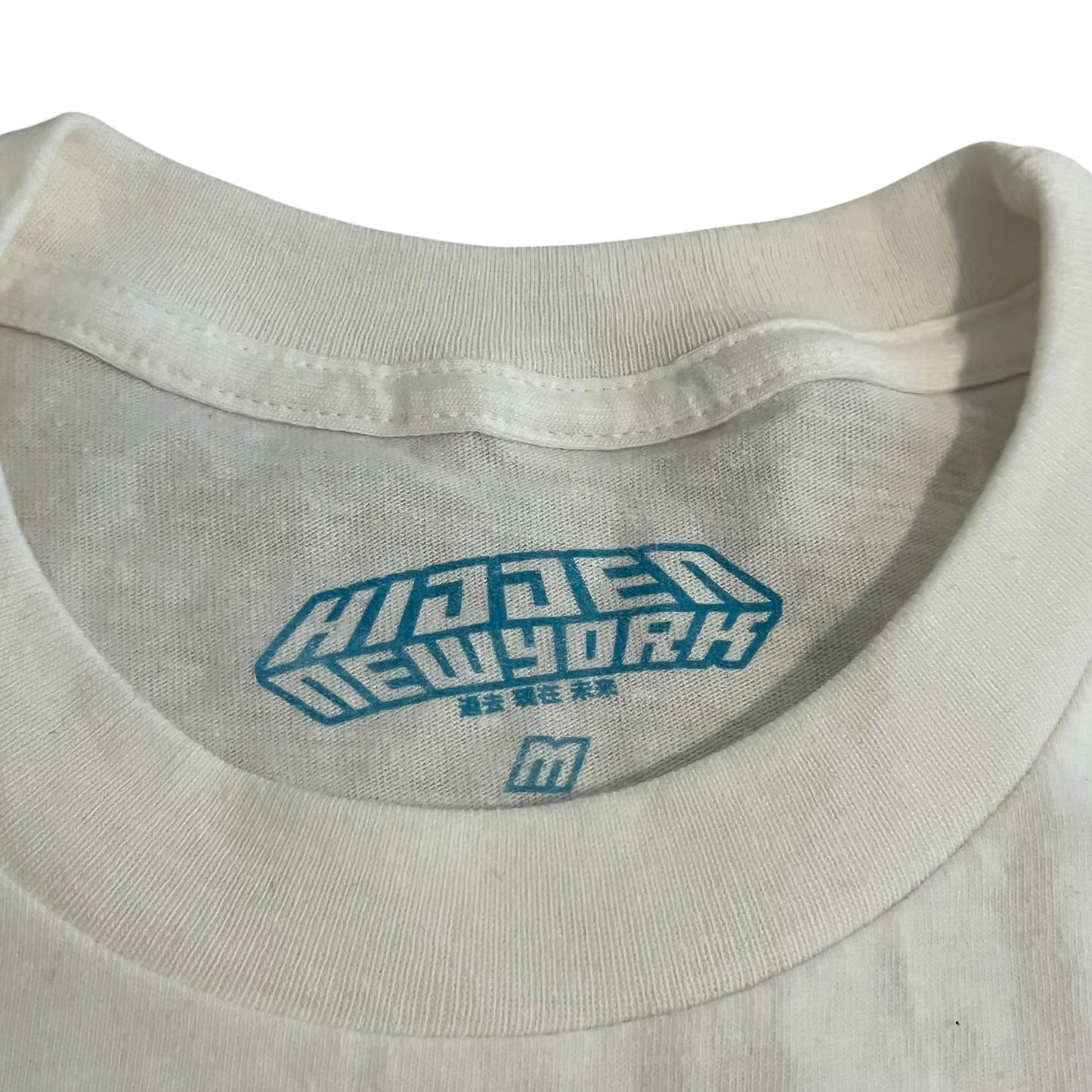 Hidden NY Mountains Long Sleeve T Shirt (Medium)