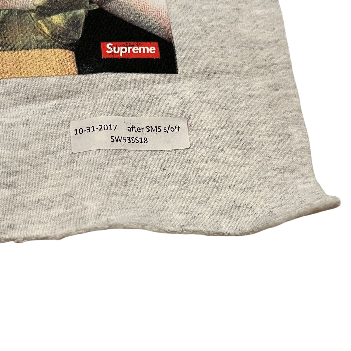 Supreme x Nan Goldin Test Print Fabric Swatch (Ash Gray)