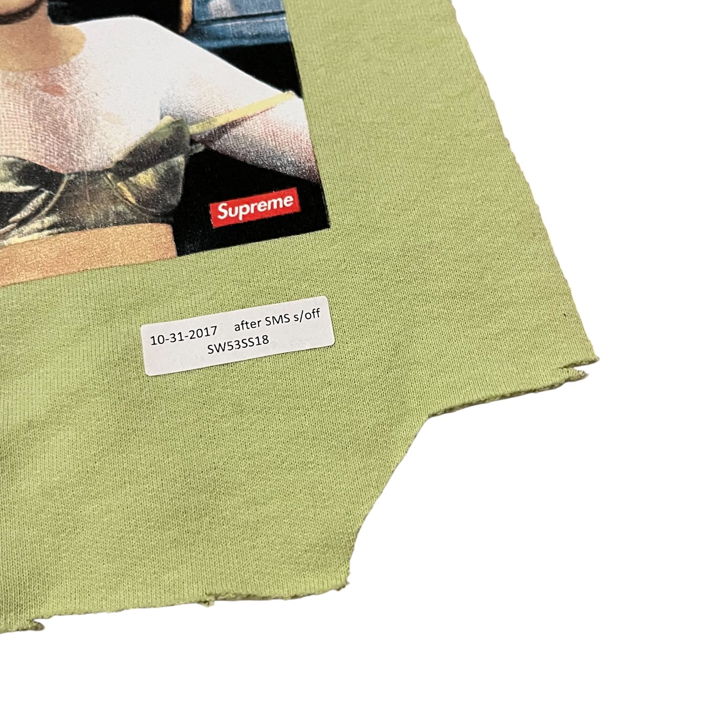 Supreme x Nan Goldin Test Print Fabric Swatch (Pale Green)