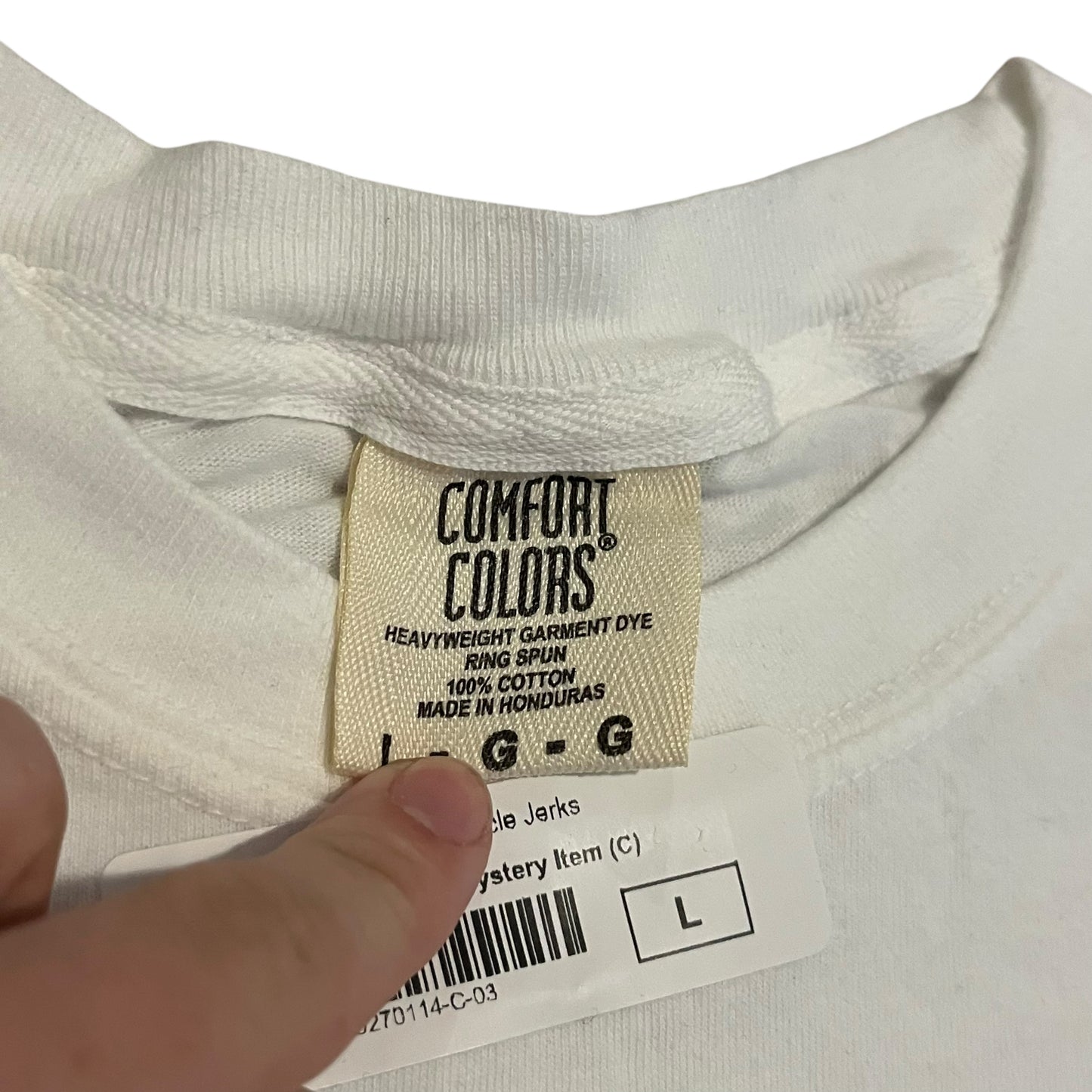 Circle Jerks x Decendents 2024 Concert Tour T Shirt - White (Large)