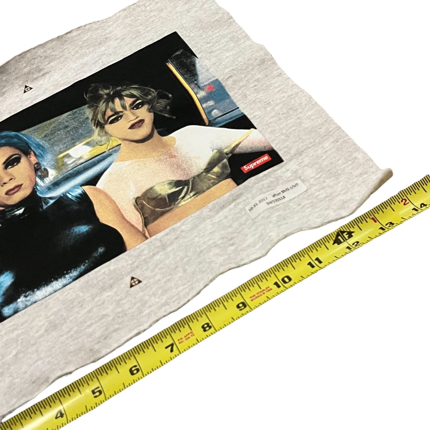 Supreme x Nan Goldin Test Print Fabric Swatch (Ash Gray)