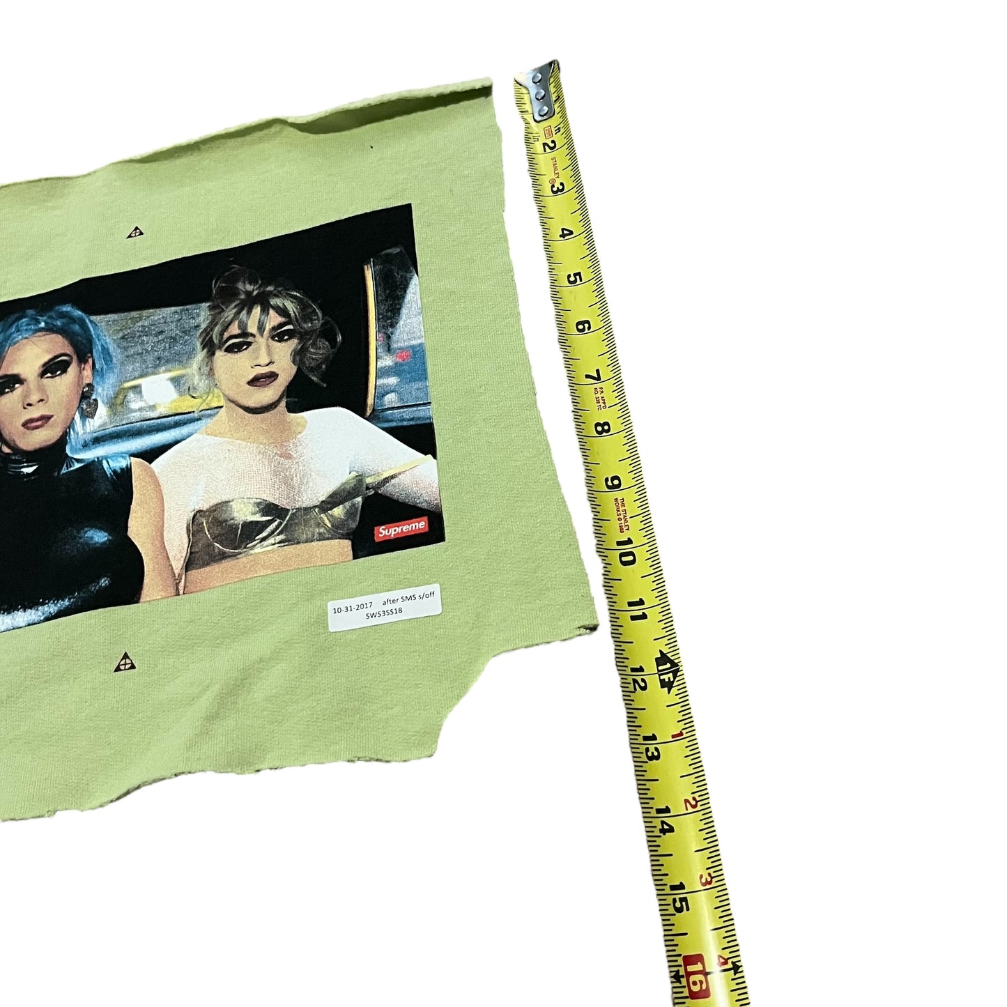 Supreme x Nan Goldin Test Print Fabric Swatch (Pale Green)