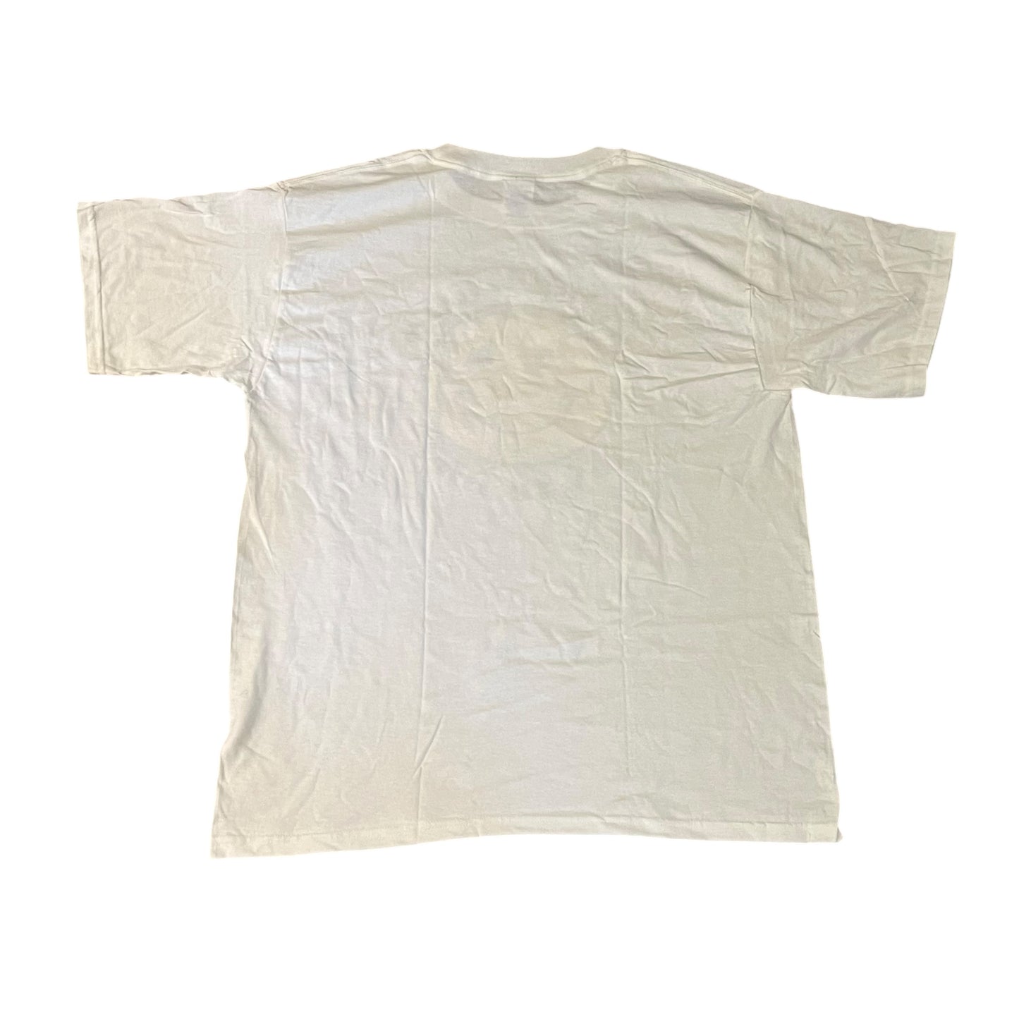 VINTAGE Joy to Life T Shirt (Large)