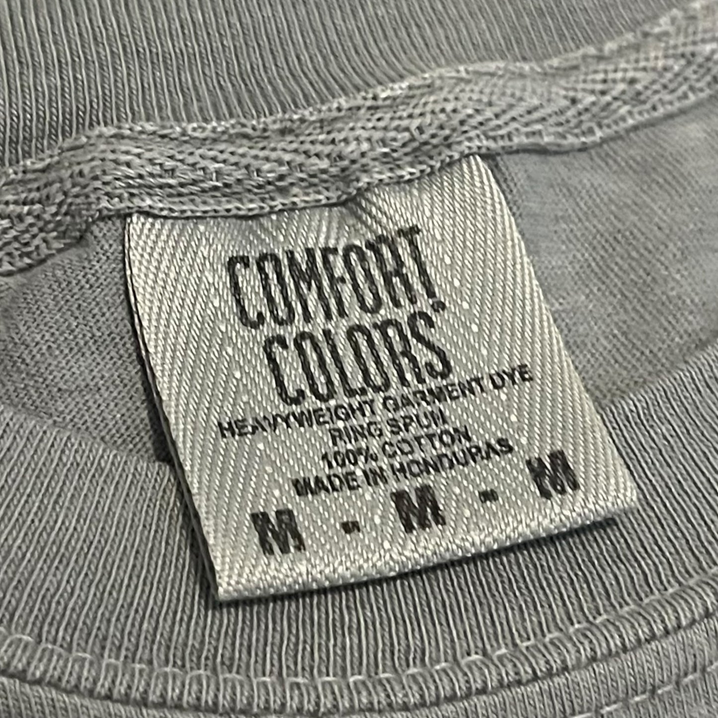 Circle Jerks x Decendents 2024 Concert Tour T Shirt - Grey (Medium)