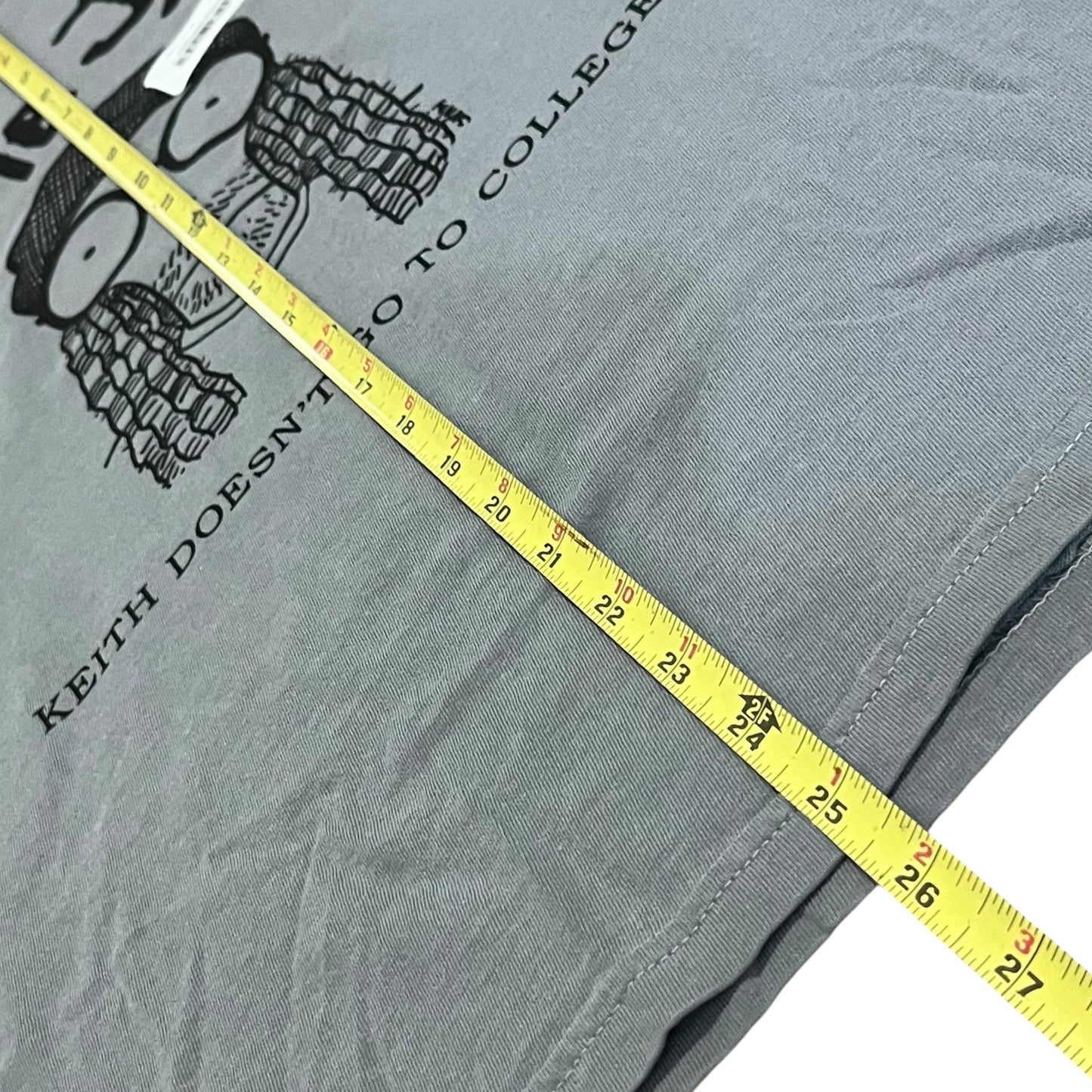 Circle Jerks x Decendents 2024 Concert Tour T Shirt - Grey (Medium)