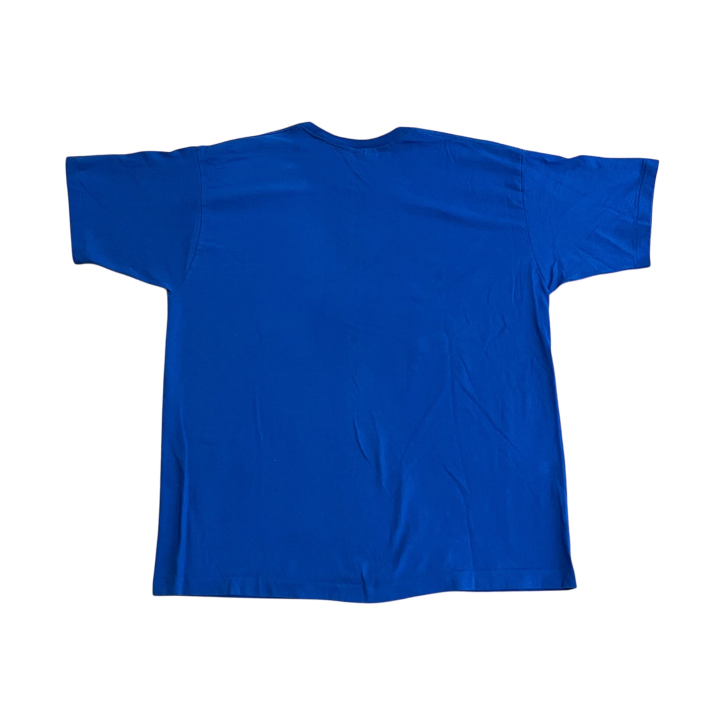 VINTAGE 1995 University of Kentucky Wildcats Ring T Shirt (XL)