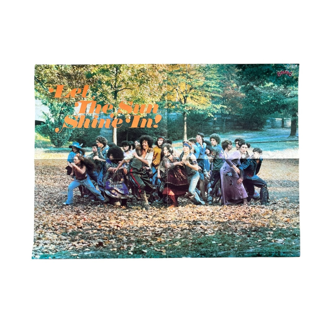 VINTAGE 1979 HAIR Musical Poster (22x16)