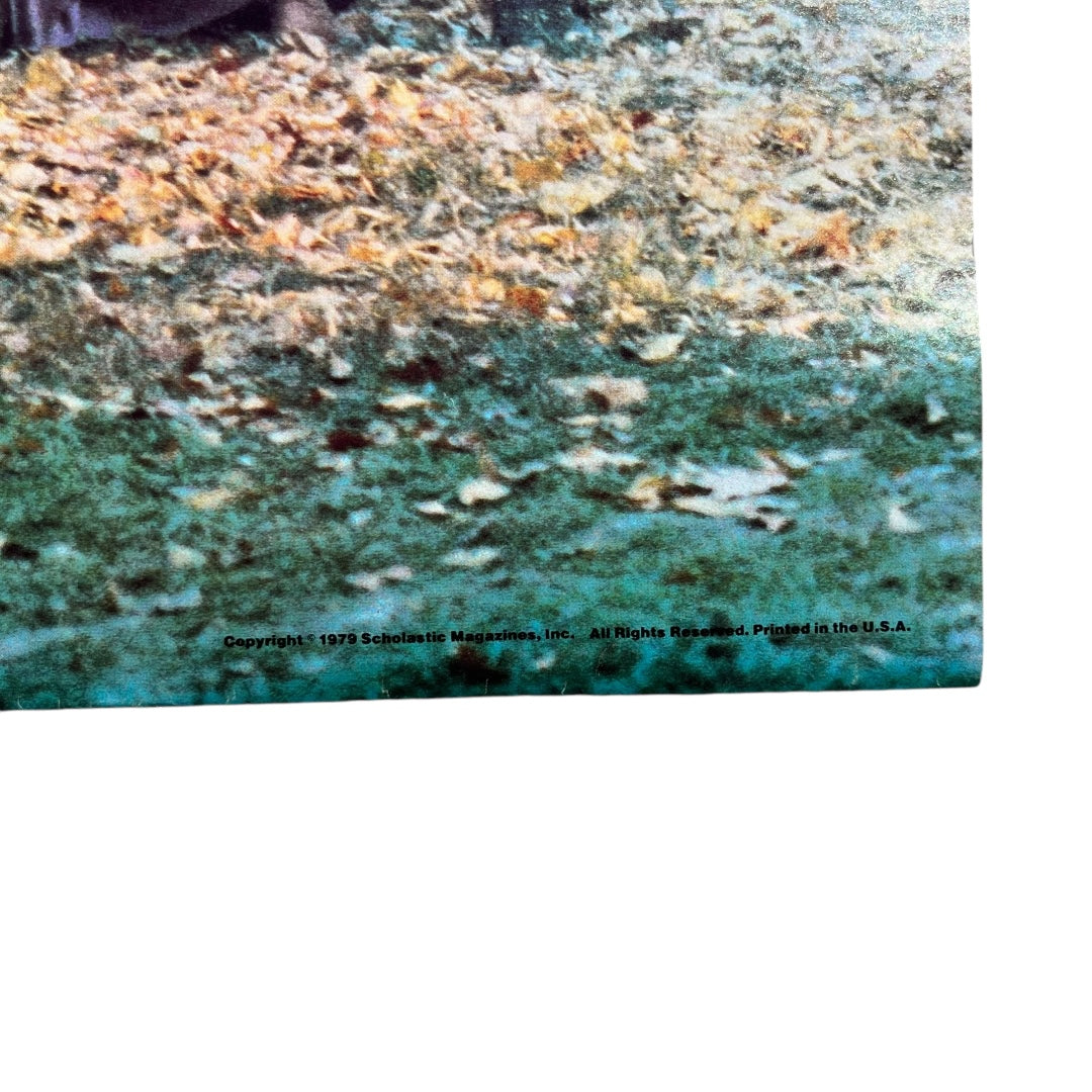 VINTAGE 1979 HAIR Musical Poster (22x16)