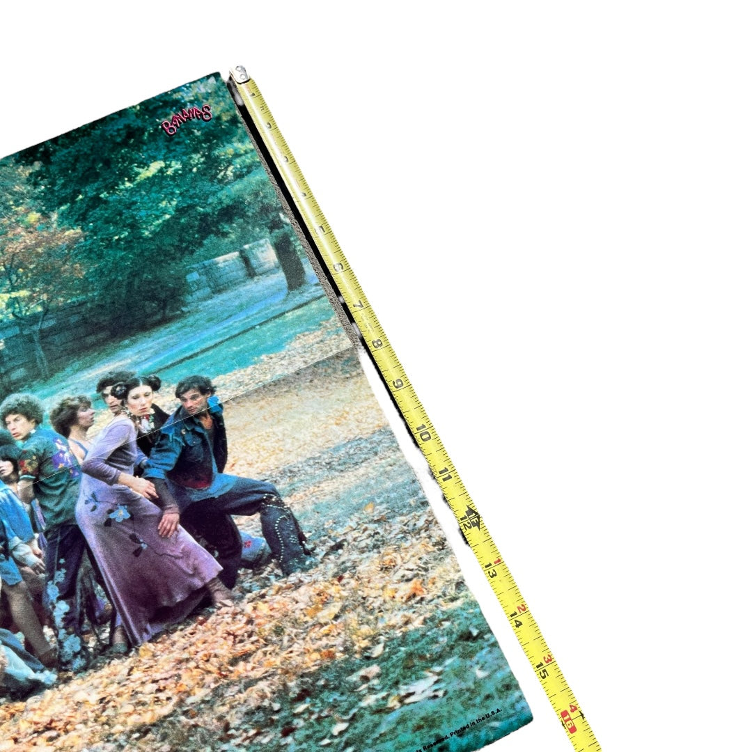 VINTAGE 1979 HAIR Musical Poster (22x16)