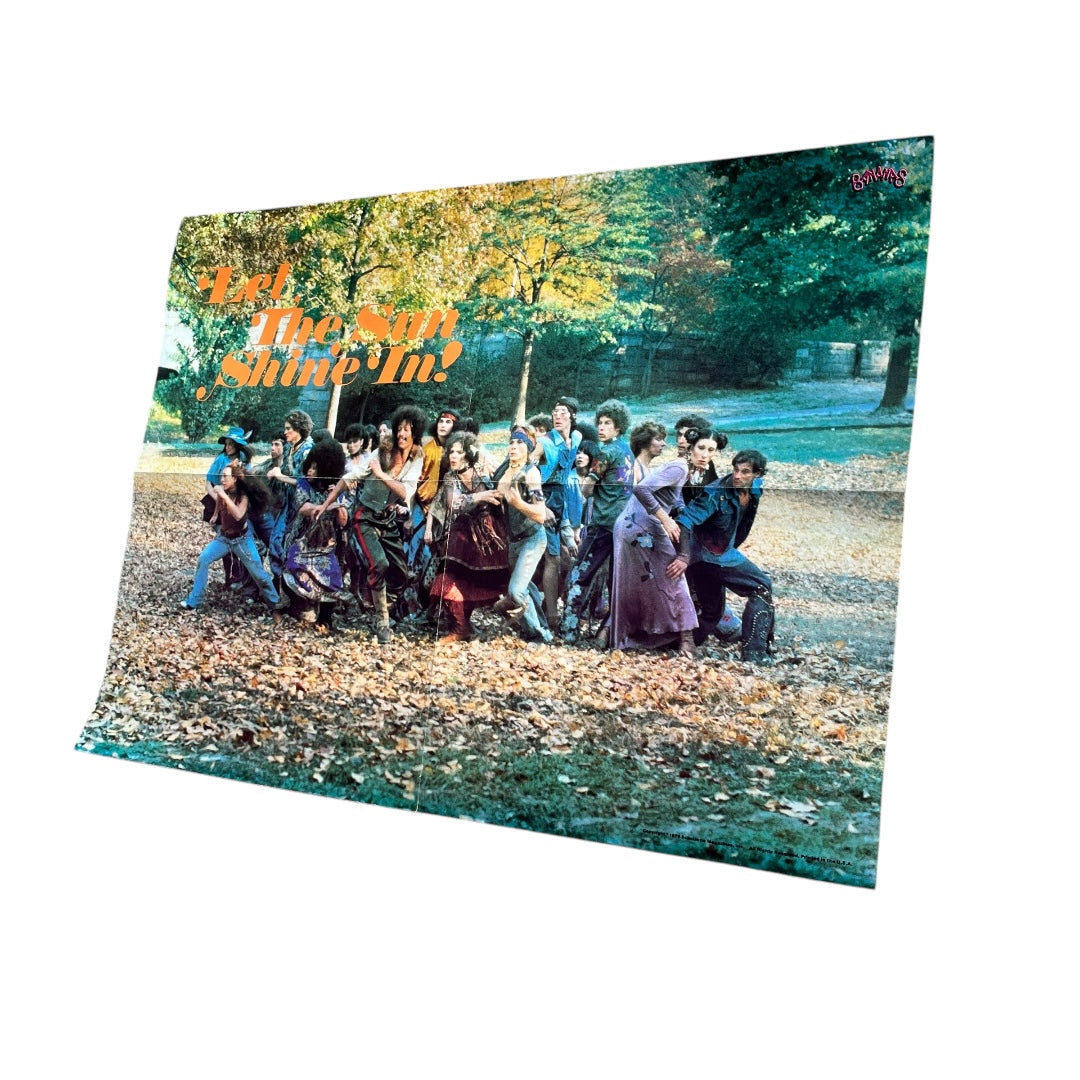 VINTAGE 1979 HAIR Musical Poster (22x16)