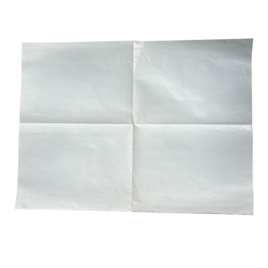 VINTAGE 1979 HAIR Musical Poster (22x16)