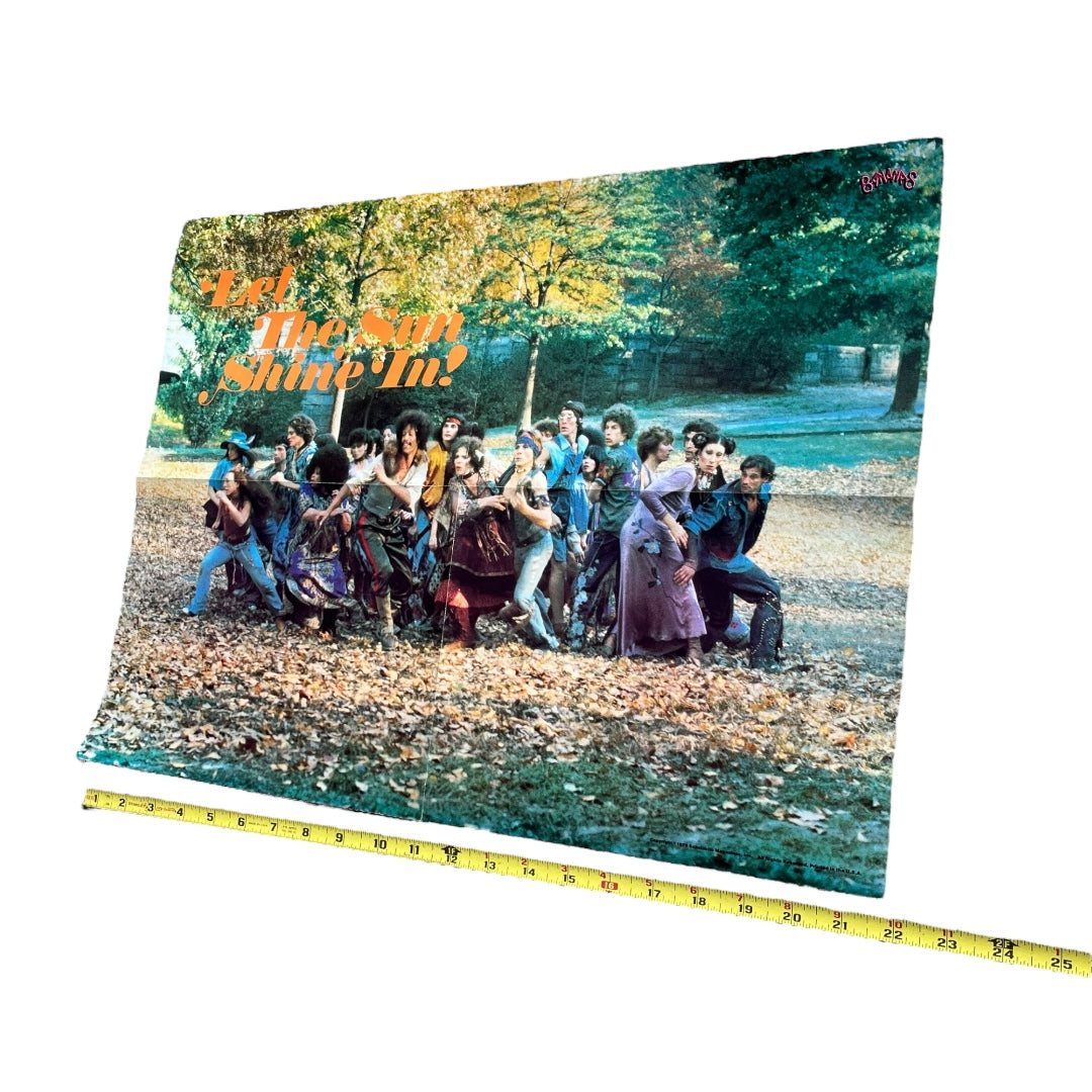 VINTAGE 1979 HAIR Musical Poster (22x16)